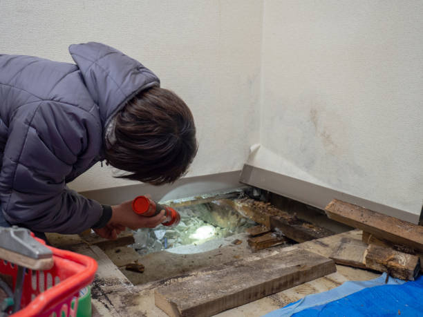 Best Asbestos and Lead Testing During Mold Inspection  in West Covina, CA