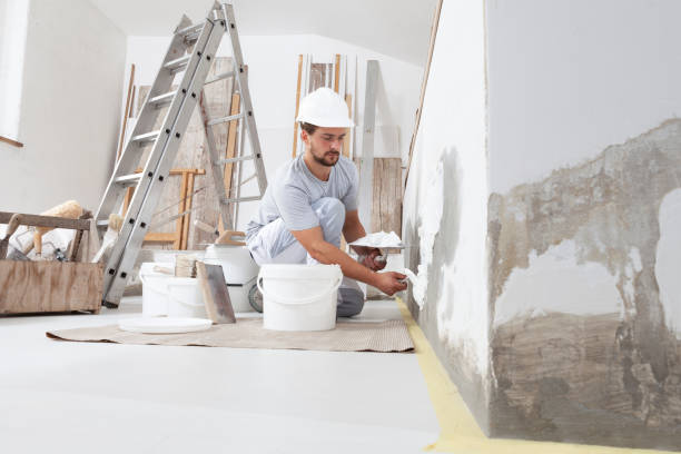 Best Basement Mold Removal  in West Covina, CA